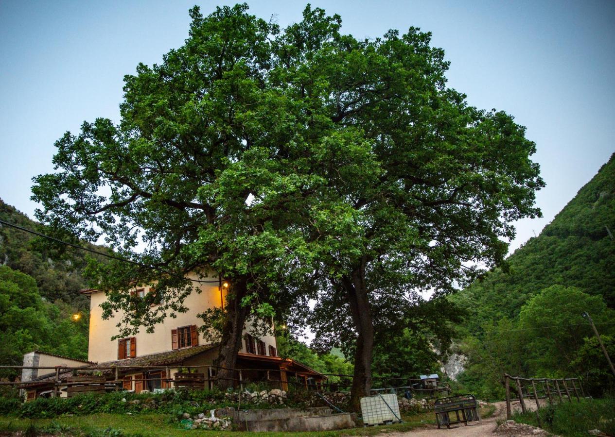 Agriturismo Le Due Querce Cerreto di Spoleto Dış mekan fotoğraf